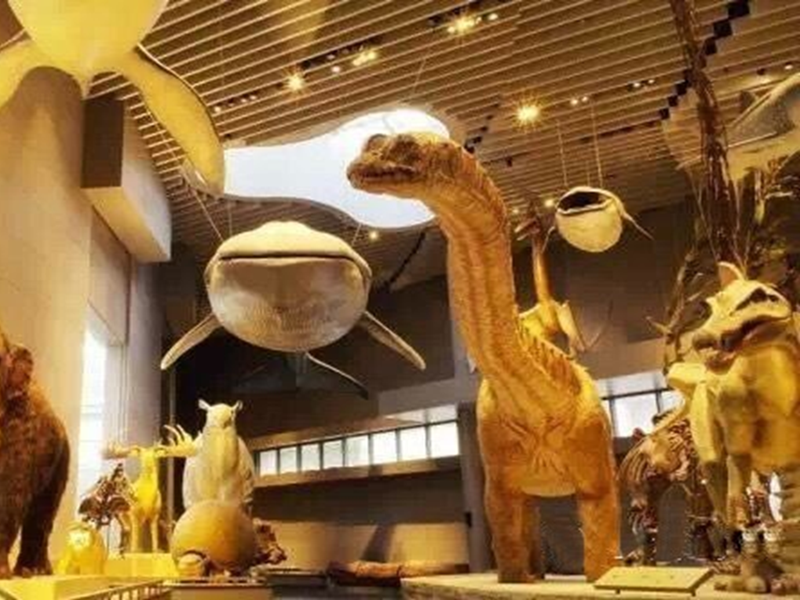 上?自然博物館新館